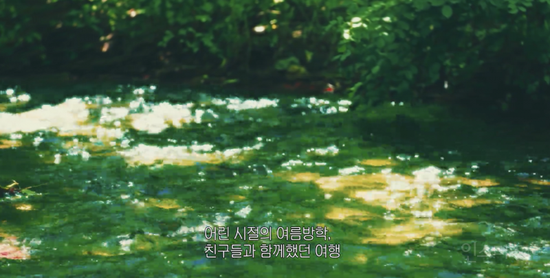 자컨인데 인트로 영상 미감 레전드라는 아이돌 그룹...gif | 인스티즈