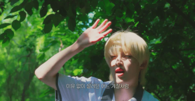 자컨인데 인트로 영상 미감 레전드라는 아이돌 그룹...gif | 인스티즈