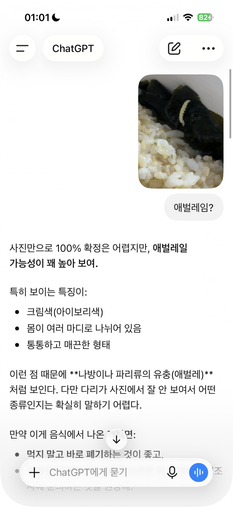[잡담] 햇밥먹다 쌀벌레? 나옴 하 이게말이됨? | 인스티즈
