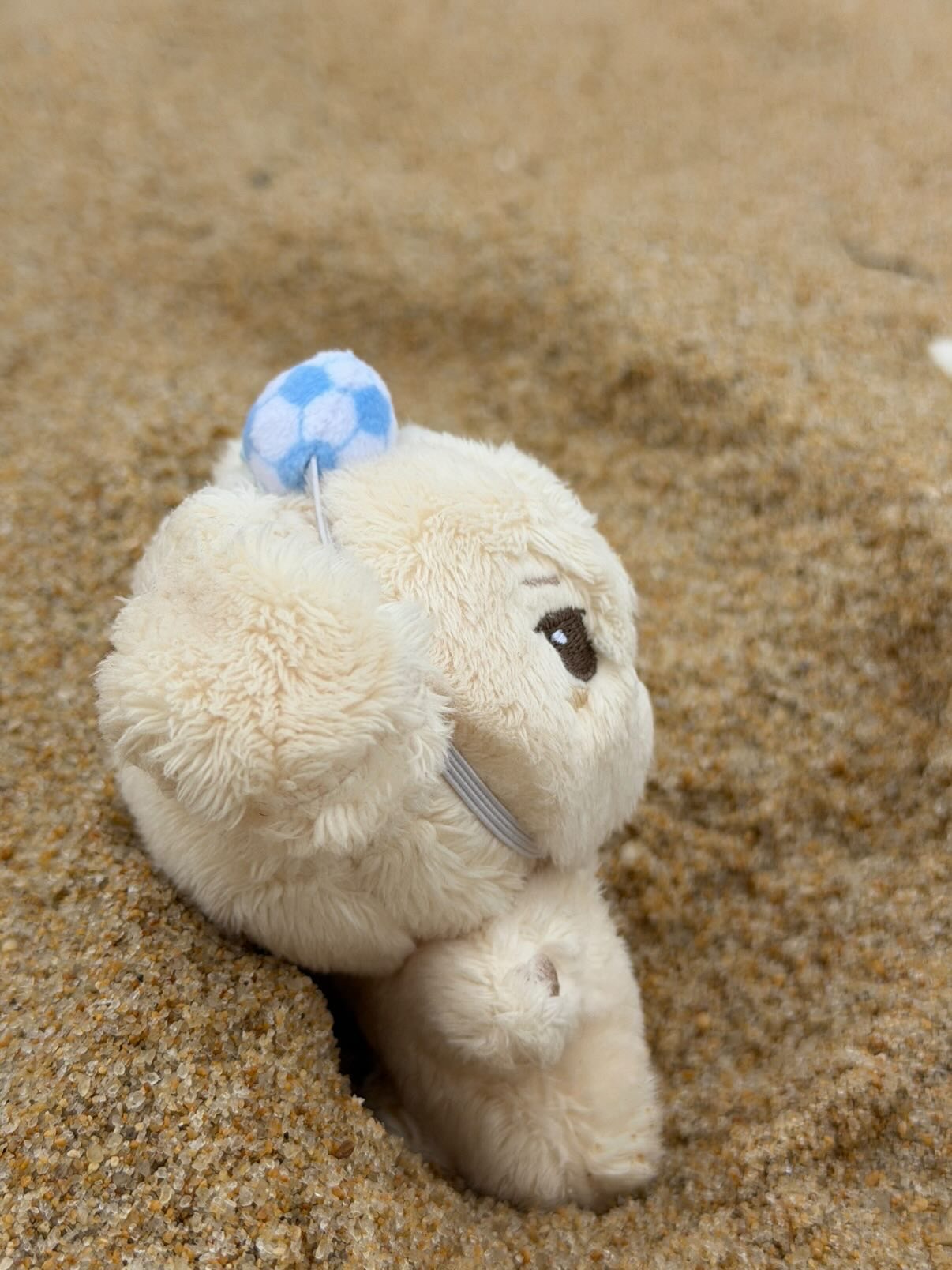 [잡담] 아 윤두준 공식인형 델고 간거 기욥다 .. | 인스티즈