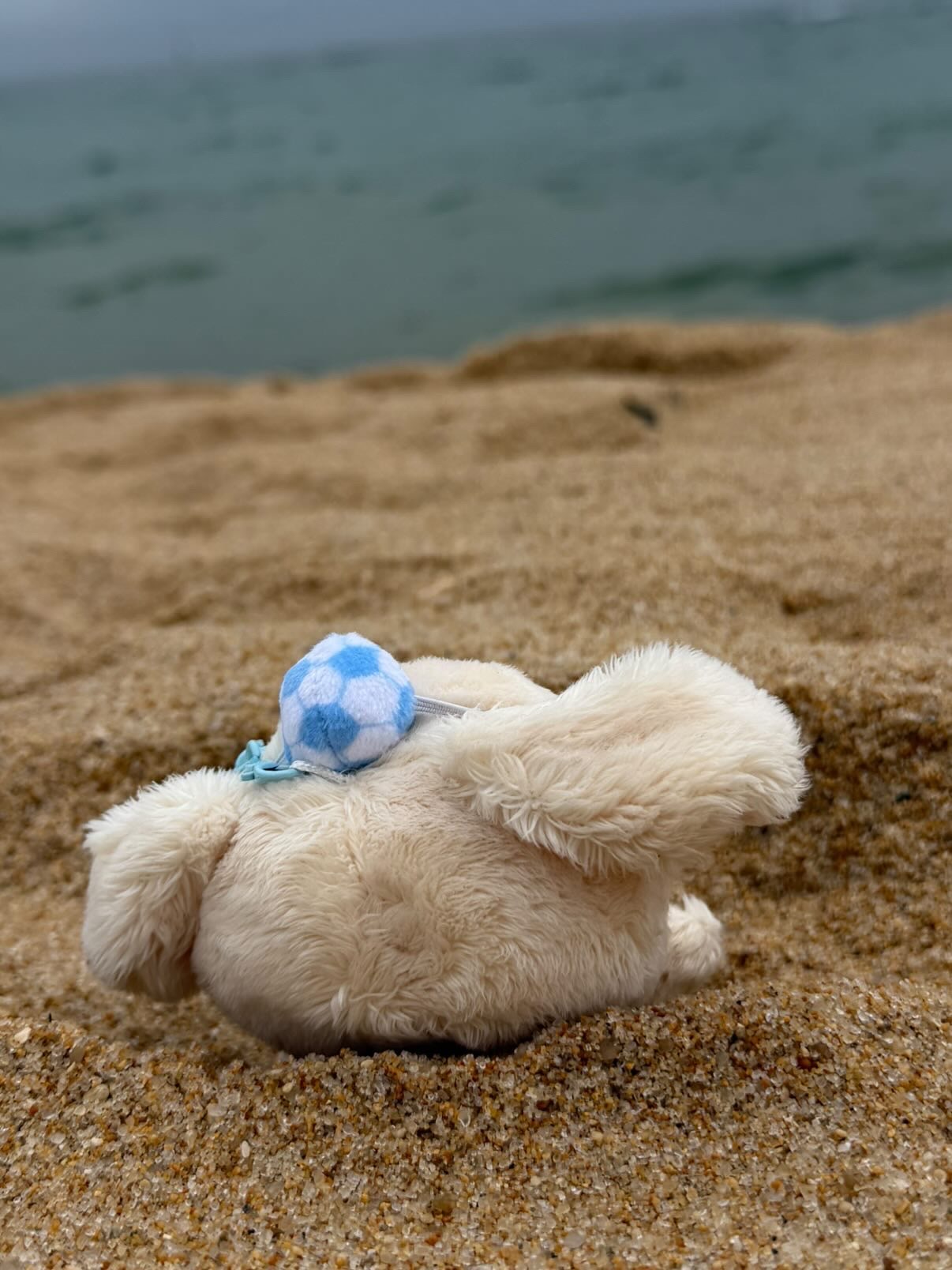 [잡담] 아 윤두준 공식인형 델고 간거 기욥다 .. | 인스티즈