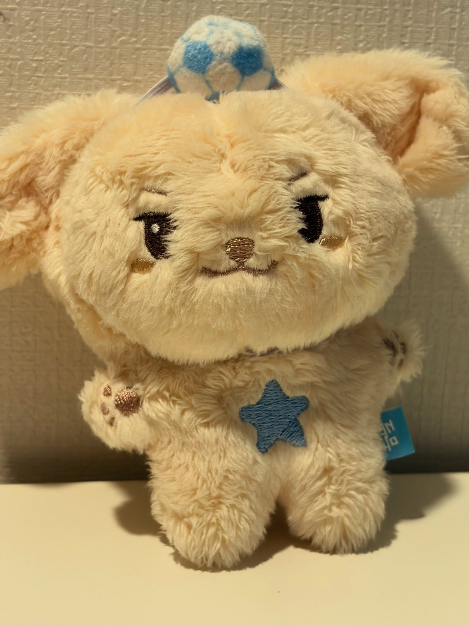 [잡담] 아 윤두준 공식인형 델고 간거 기욥다 .. | 인스티즈