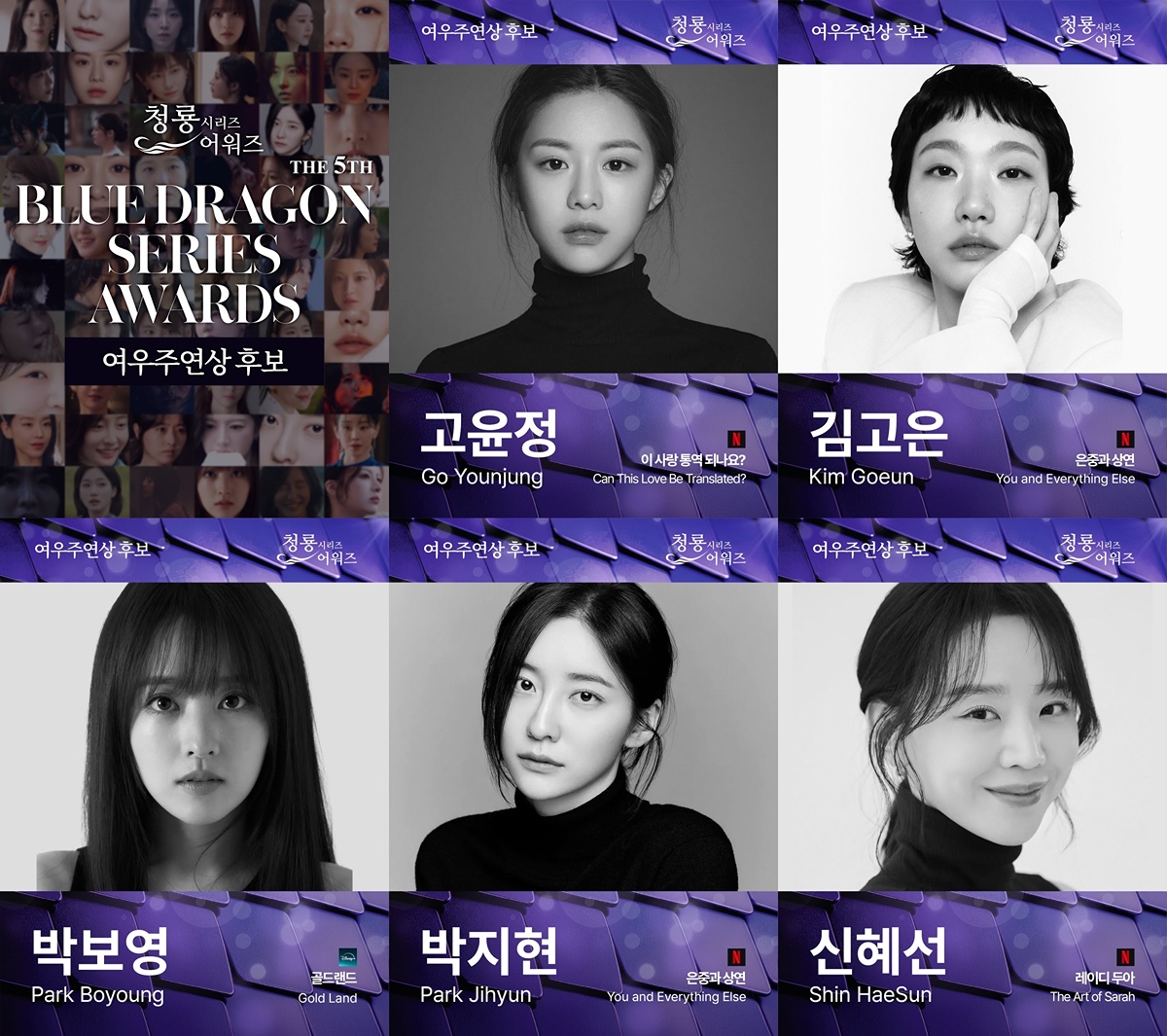 [마플] 청룡 여우주연상 다지니 수지 없네 | 인스티즈