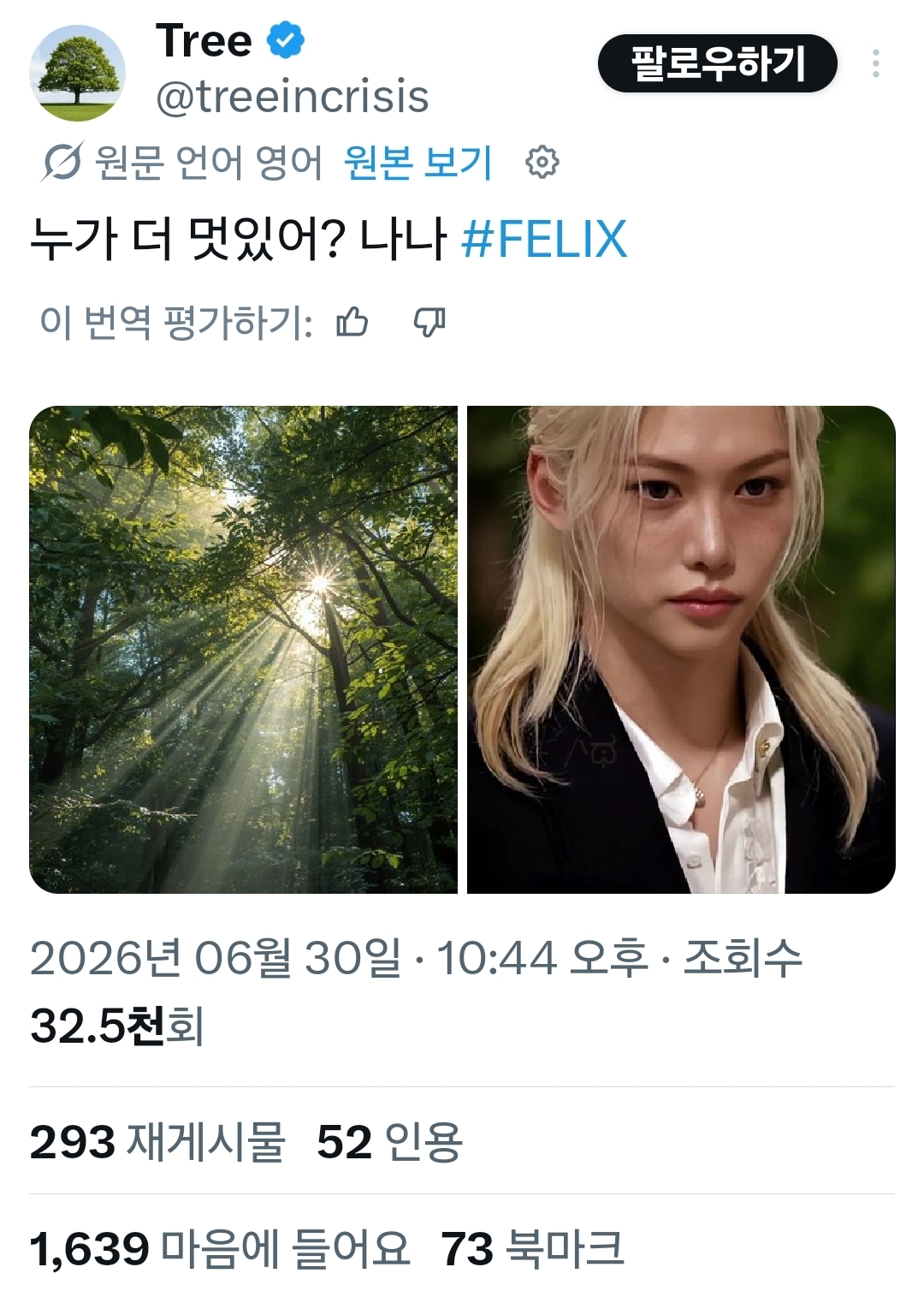 [잡담] 동물계에서 알티타던 필릭스 결국 나무계정까지 등판했어 | 인스티즈