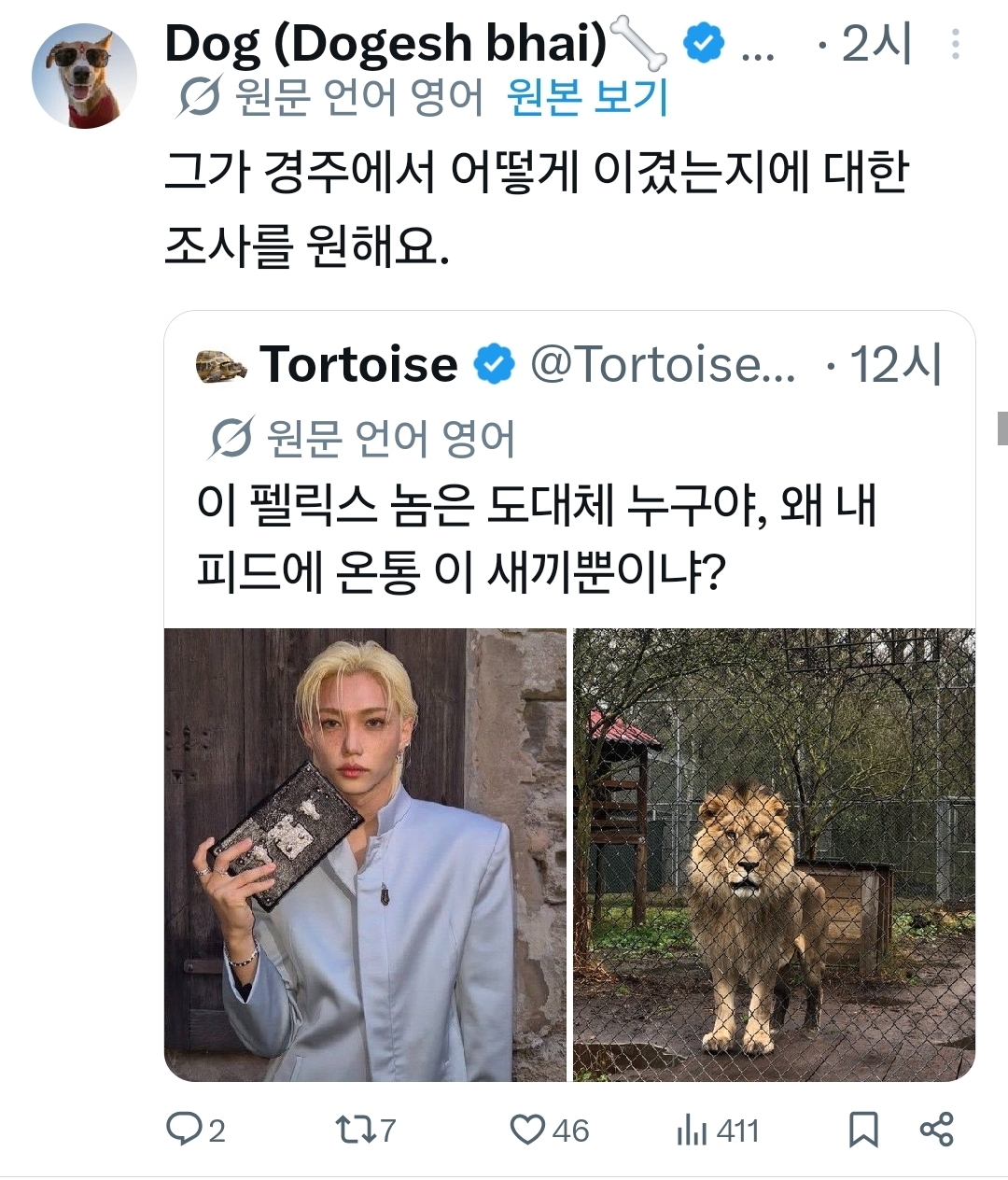 [잡담] 동물계에서 알티타던 필릭스 결국 나무계정까지 등판했어 | 인스티즈
