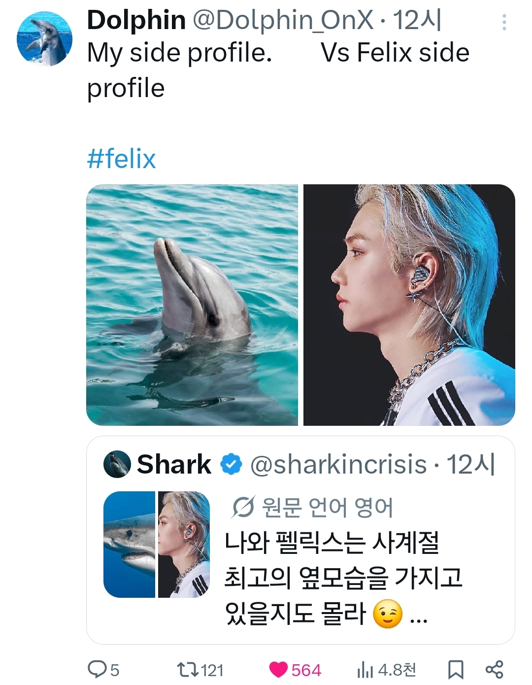 [잡담] 동물계에서 알티타던 필릭스 결국 나무계정까지 등판했어 | 인스티즈