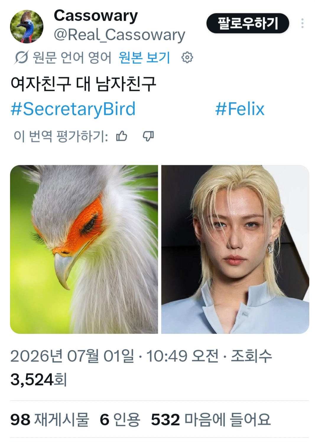 [잡담] 동물계에서 알티타던 필릭스 결국 나무계정까지 등판했어 | 인스티즈