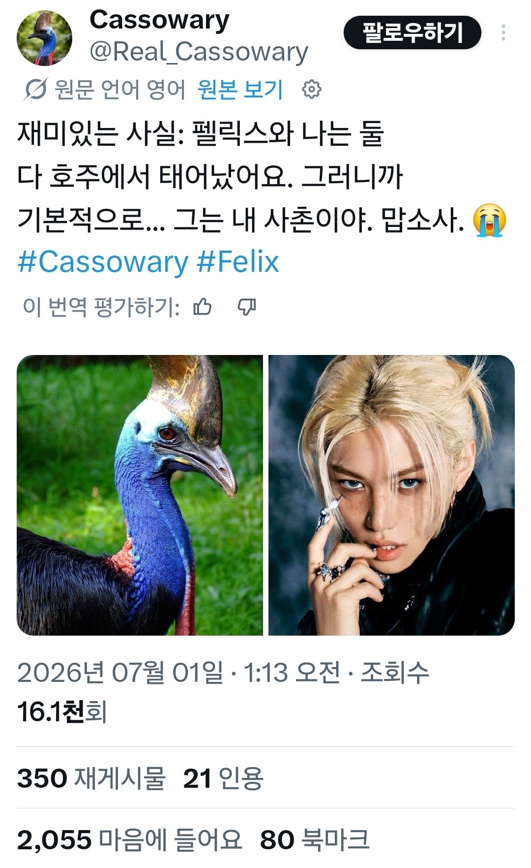 [잡담] 동물계에서 알티타던 필릭스 결국 나무계정까지 등판했어 | 인스티즈