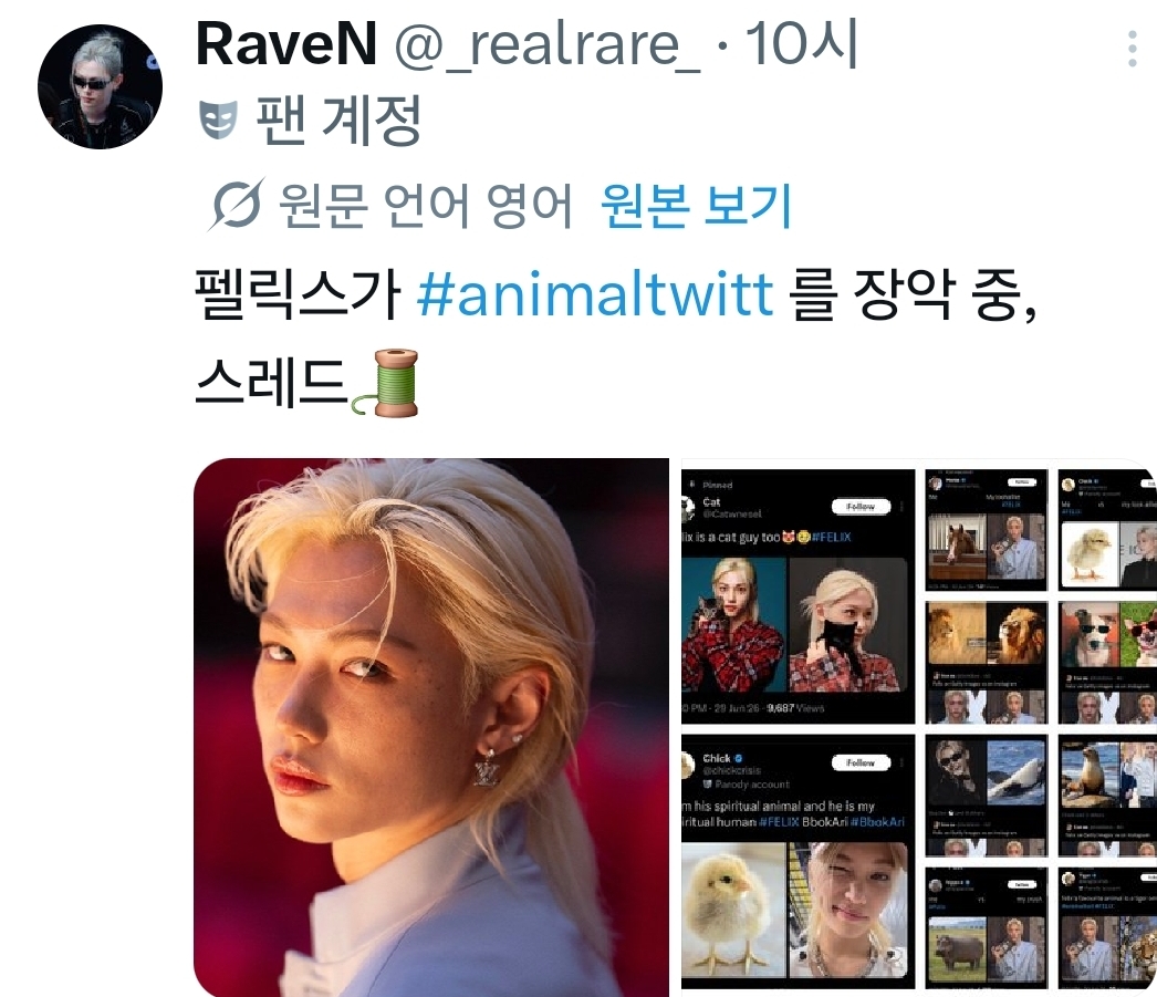 [잡담] 동물계에서 알티타던 필릭스 결국 나무계정까지 등판했어 | 인스티즈