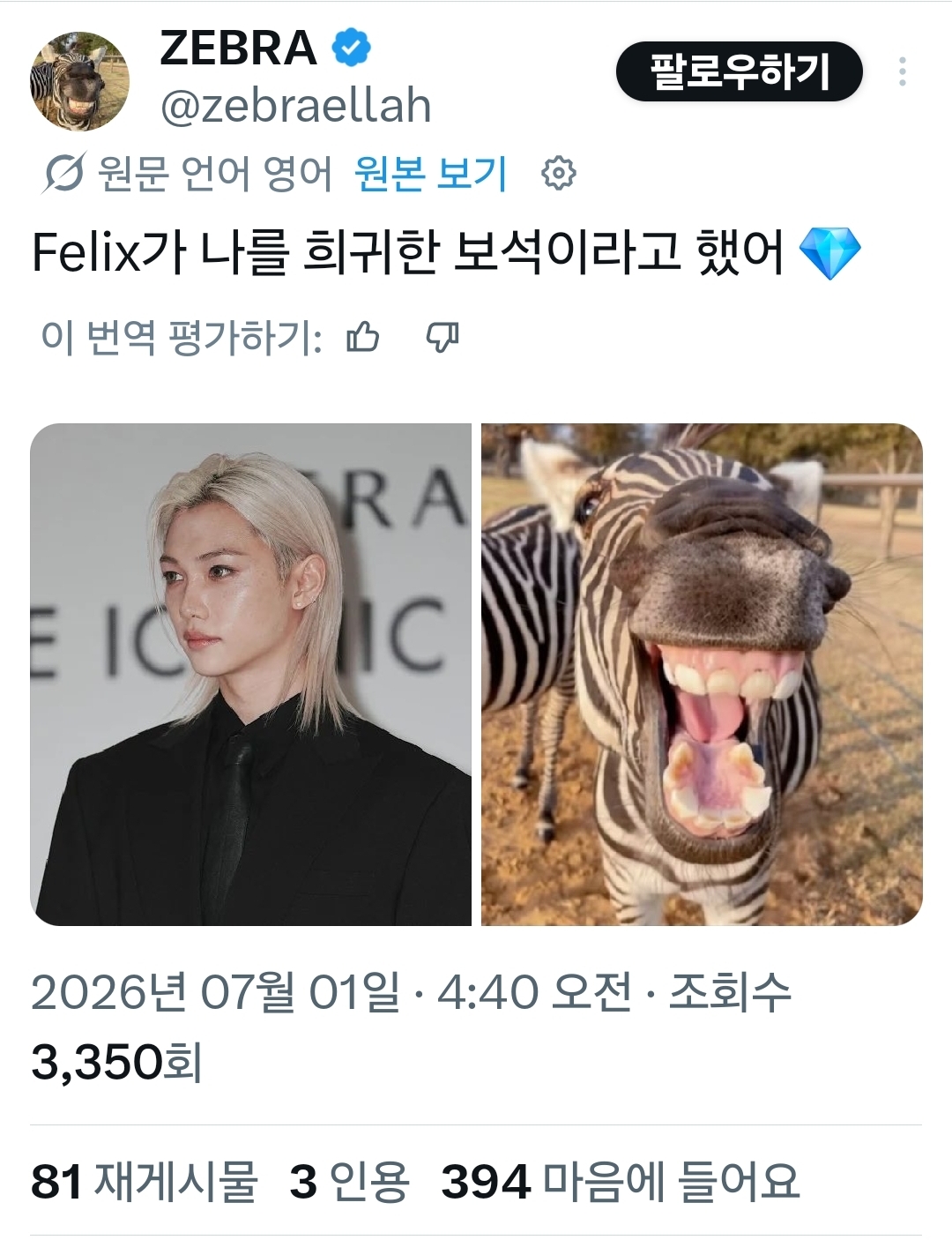 [잡담] 동물계에서 알티타던 필릭스 결국 나무계정까지 등판했어 | 인스티즈