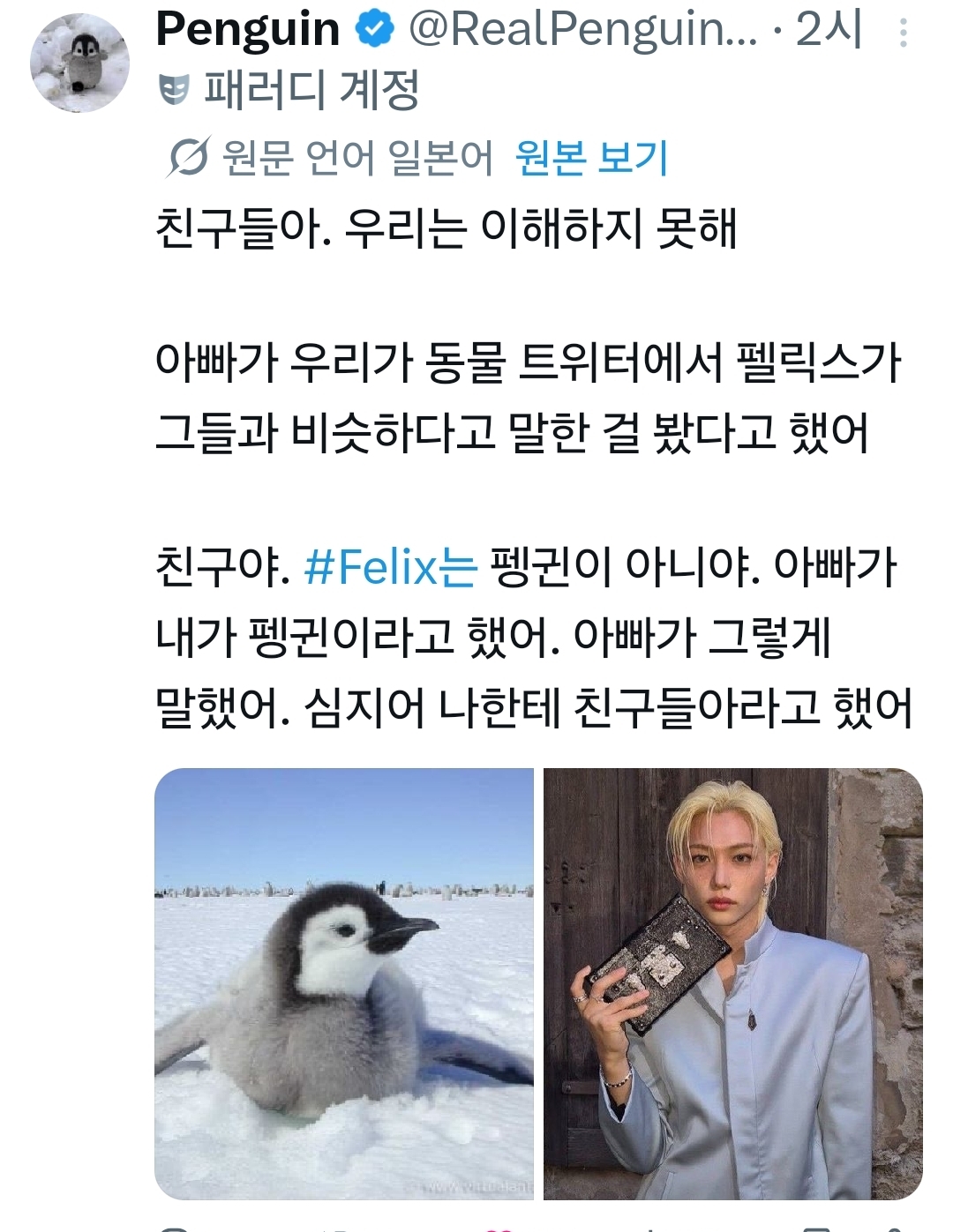 [잡담] 동물계에서 알티타던 필릭스 결국 나무계정까지 등판했어 | 인스티즈
