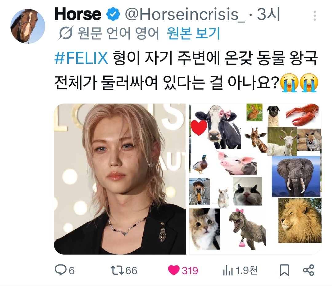 [잡담] 동물계에서 알티타던 필릭스 결국 나무계정까지 등판했어 | 인스티즈