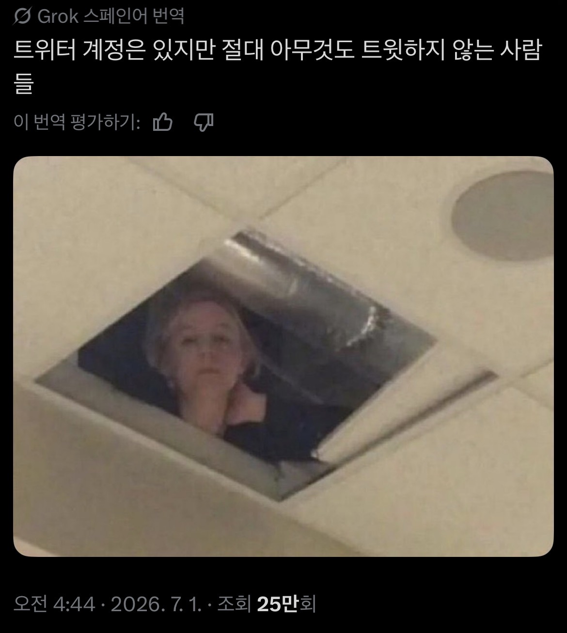 [잡담] 트위터 계정은 있지만 절대 아무것도 트윗하지 않는 사람들 | 인스티즈