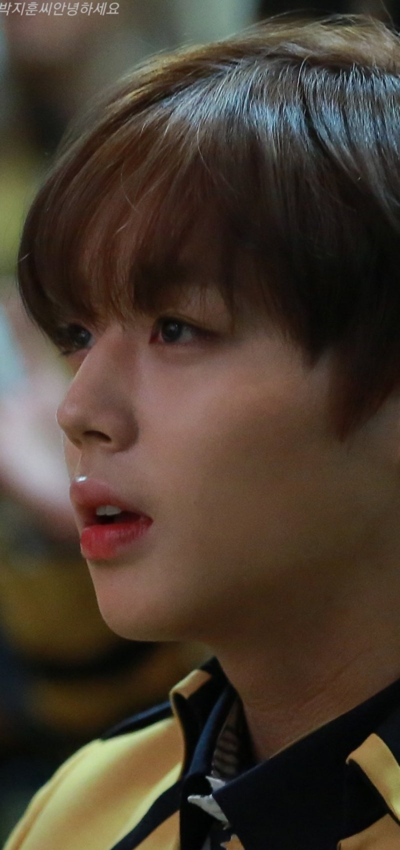 [잡담] 박지훈 무보정 사진만 올리던 홈마래 | 인스티즈