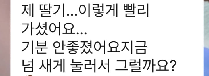 [잡담] 허씬롱 플챗 외국멤 특유의 어눌한 한국어 느껴지는데 이게 또 너무 좋음ㅋㅋ | 인스티즈