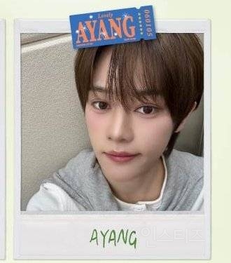 데뷔 전에 포토이즘 프레임부터 내는 남돌 이유.jpg | 인스티즈