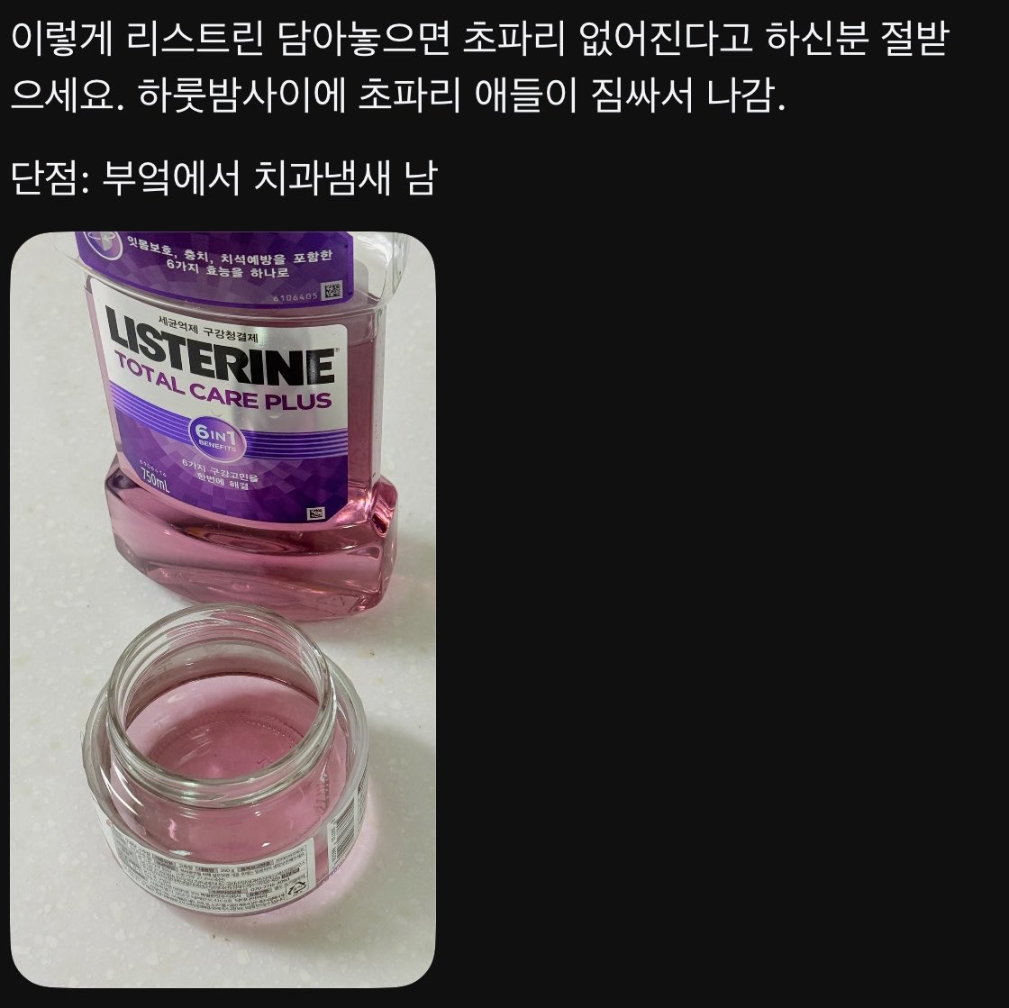 [잡담] 리스테린으로 초파리 박멸해본 익 있어? | 인스티즈