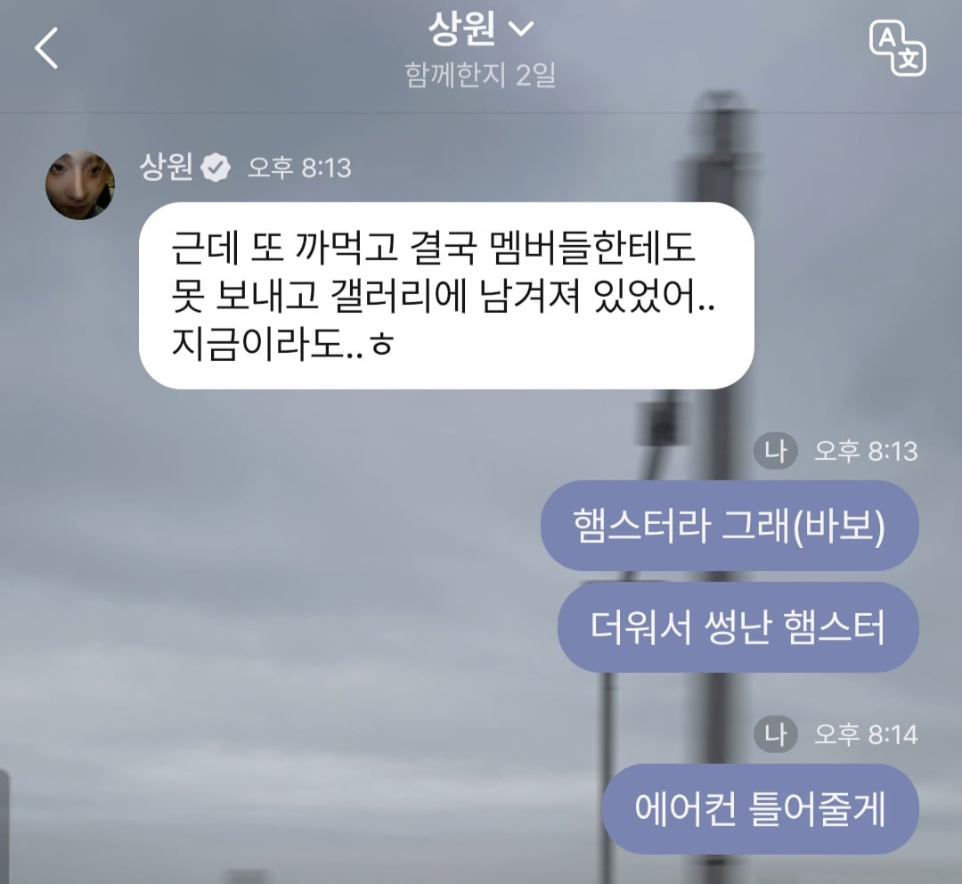 [잡담] 상리오즈 플챗 재밌네 | 인스티즈