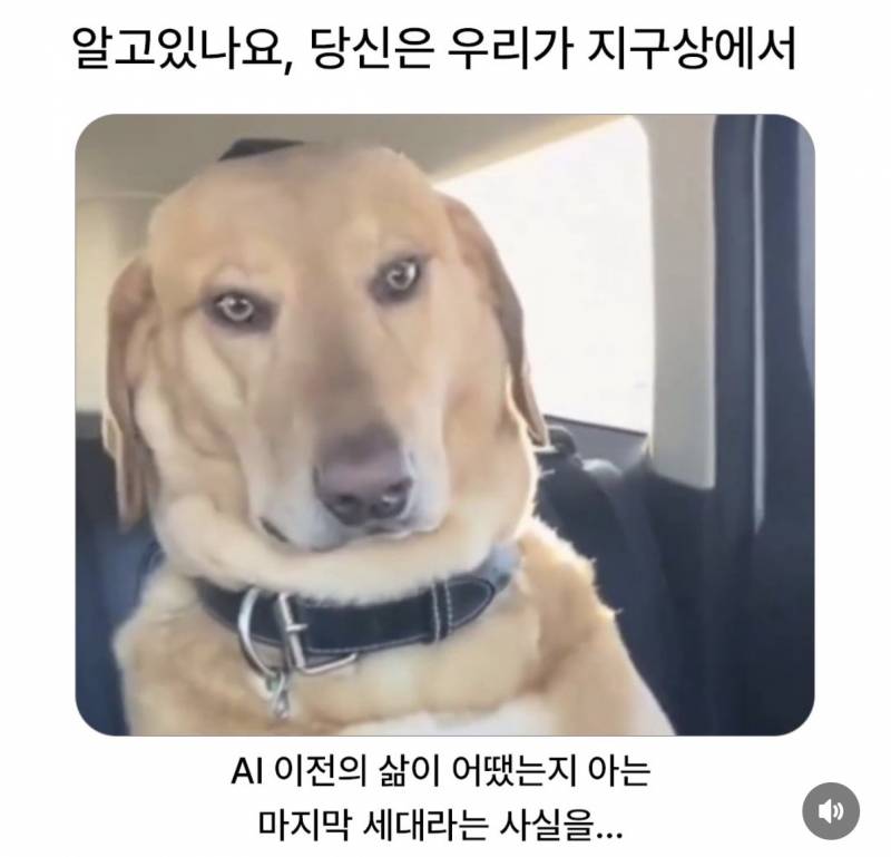 [잡담] 우리가 지구상에서 AI이전삶이 어땠는지 아는 마지막 세대래 | 인스티즈