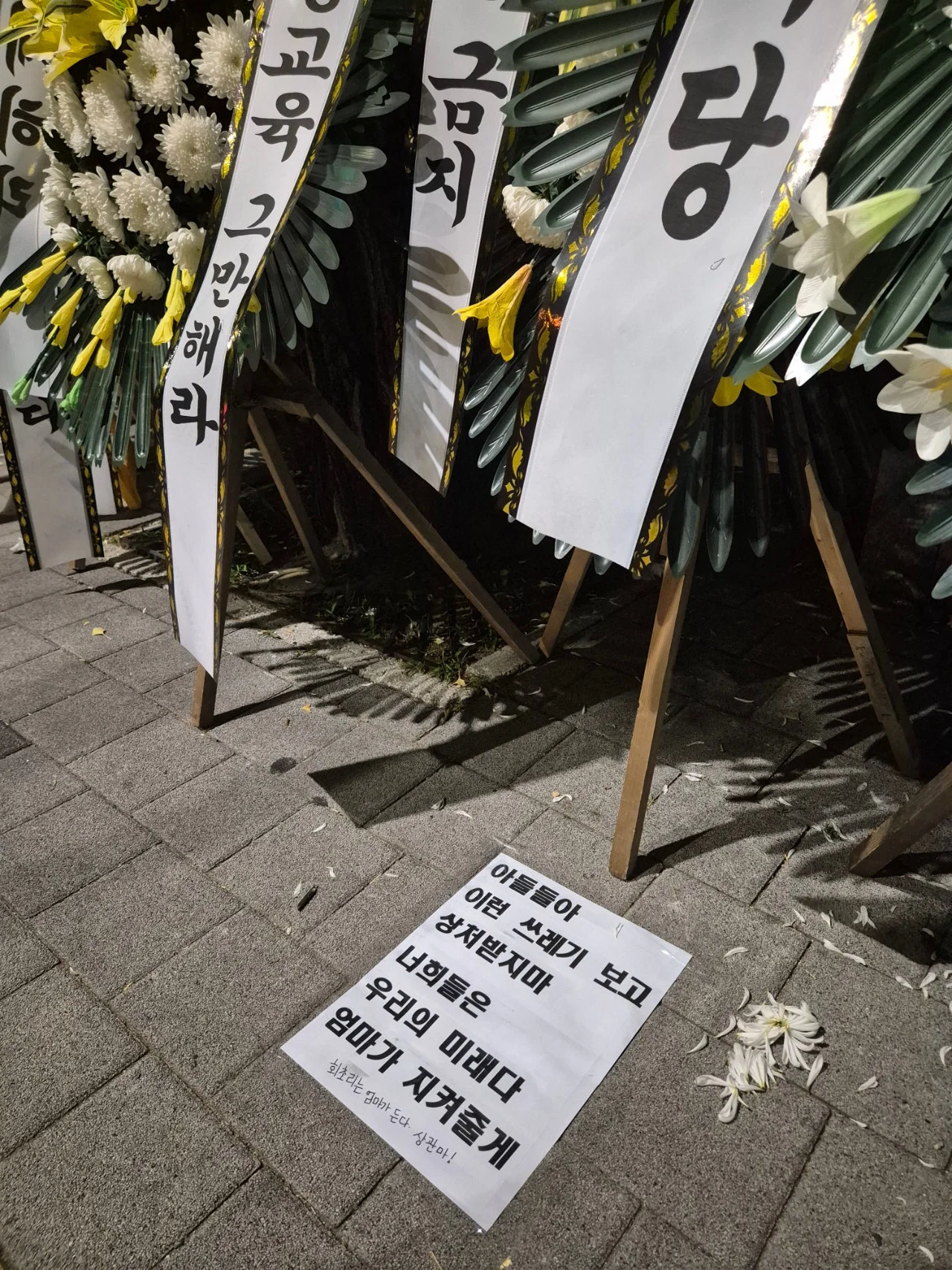[잡담] 올공이 되어버린 배제고 | 인스티즈