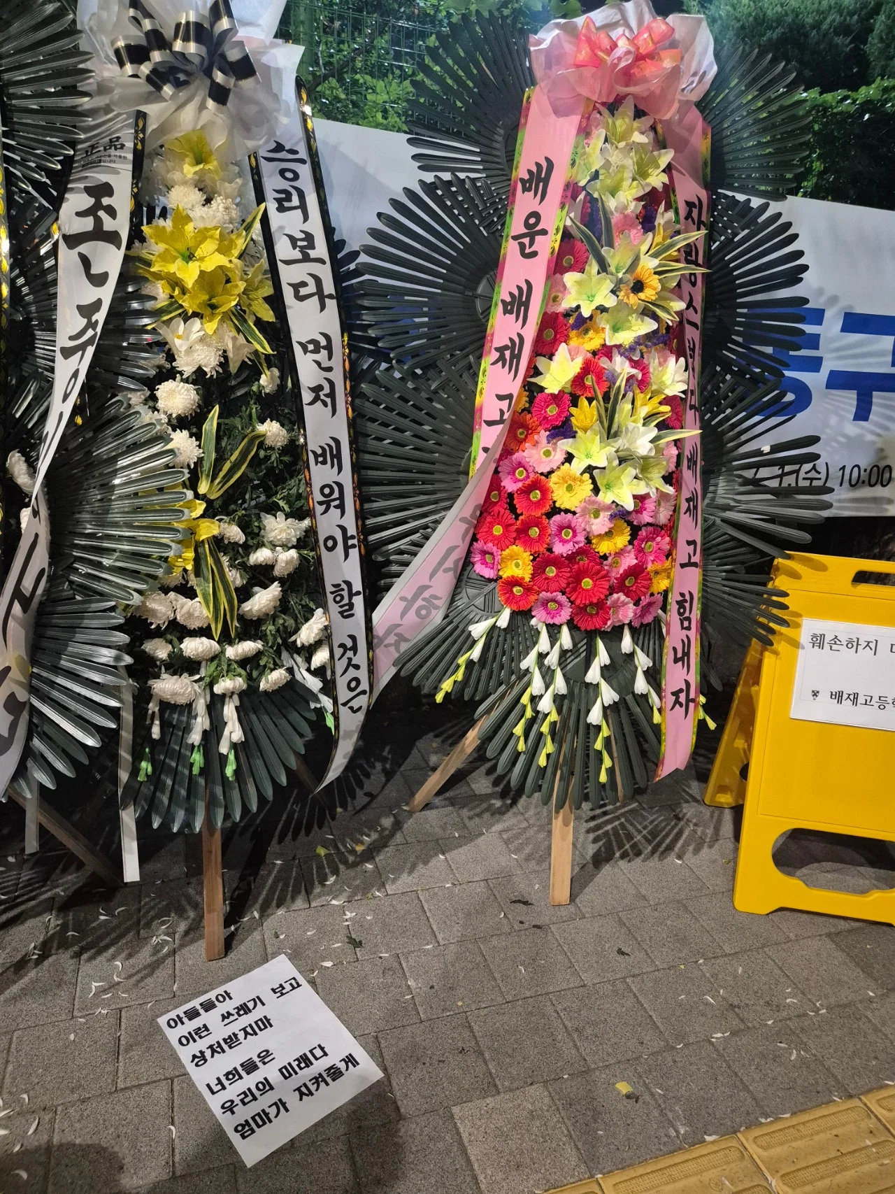 [잡담] 올공이 되어버린 배제고 | 인스티즈