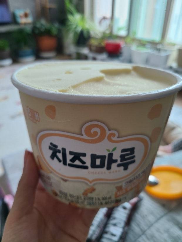 [잡담] 이만한 아이스크림 얼마만에 먹어? | 인스티즈