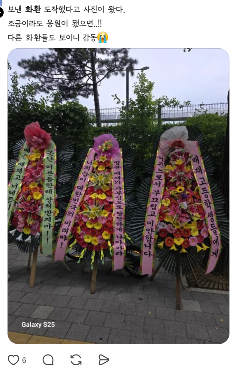 ⚠️(길티주의) 가여운 배재고 아들들 남미새감성⚠️ | 인스티즈