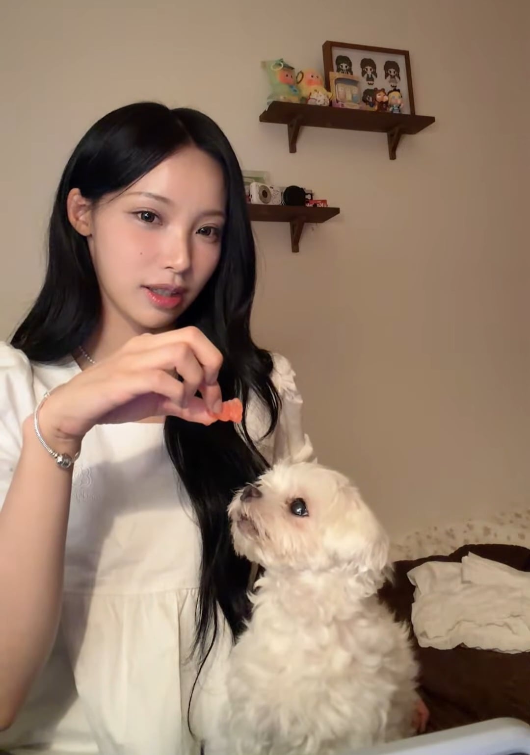 [잡담] 원이네 강아지 욘나 귀엽게 생겼어 | 인스티즈