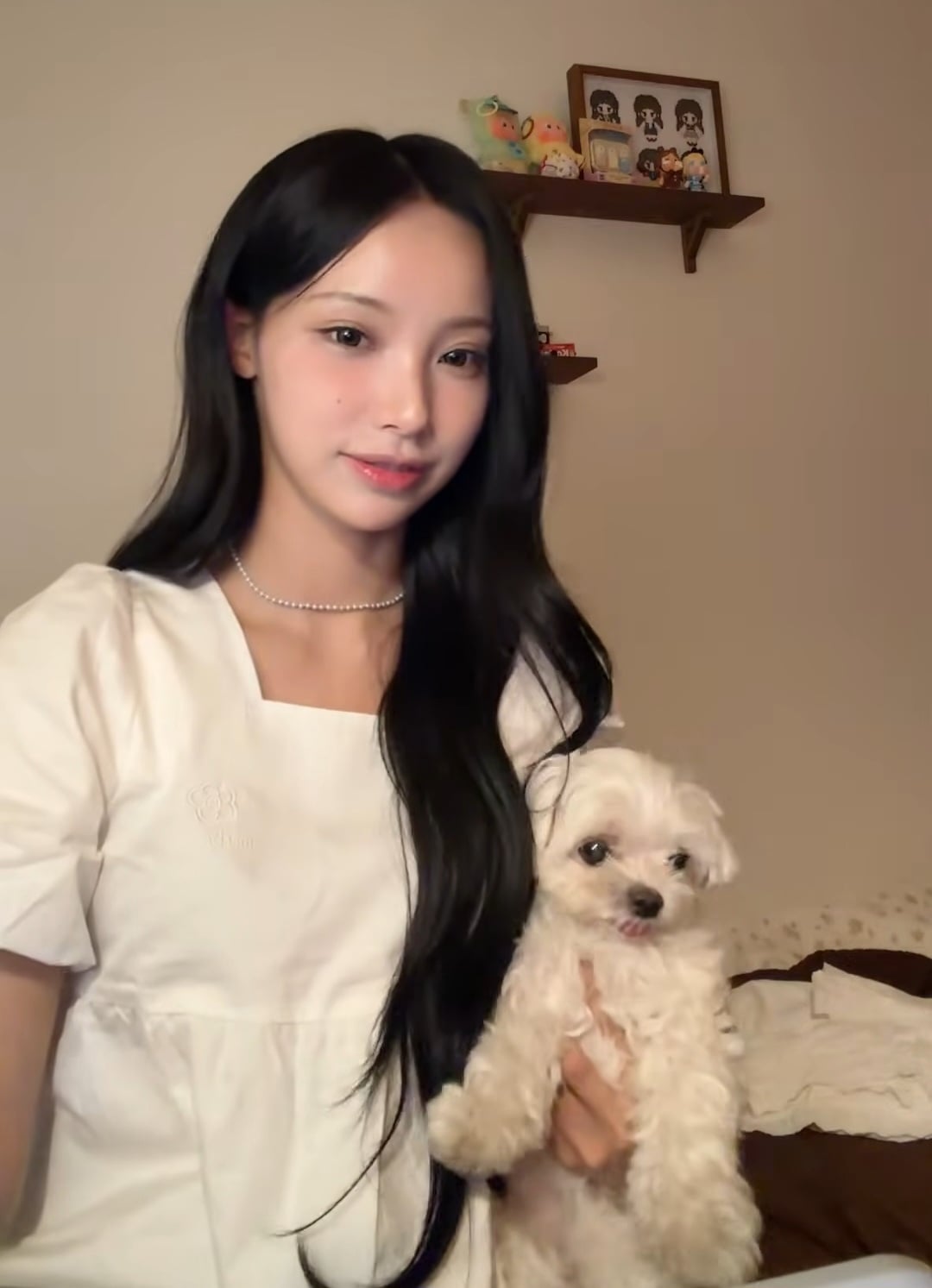 [잡담] 원이네 강아지 욘나 귀엽게 생겼어 | 인스티즈