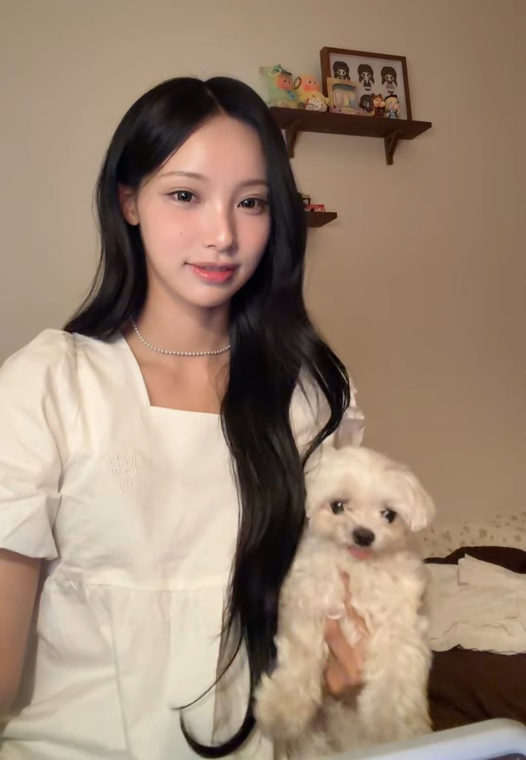 [잡담] 원이네 강아지 욘나 귀엽게 생겼어 | 인스티즈