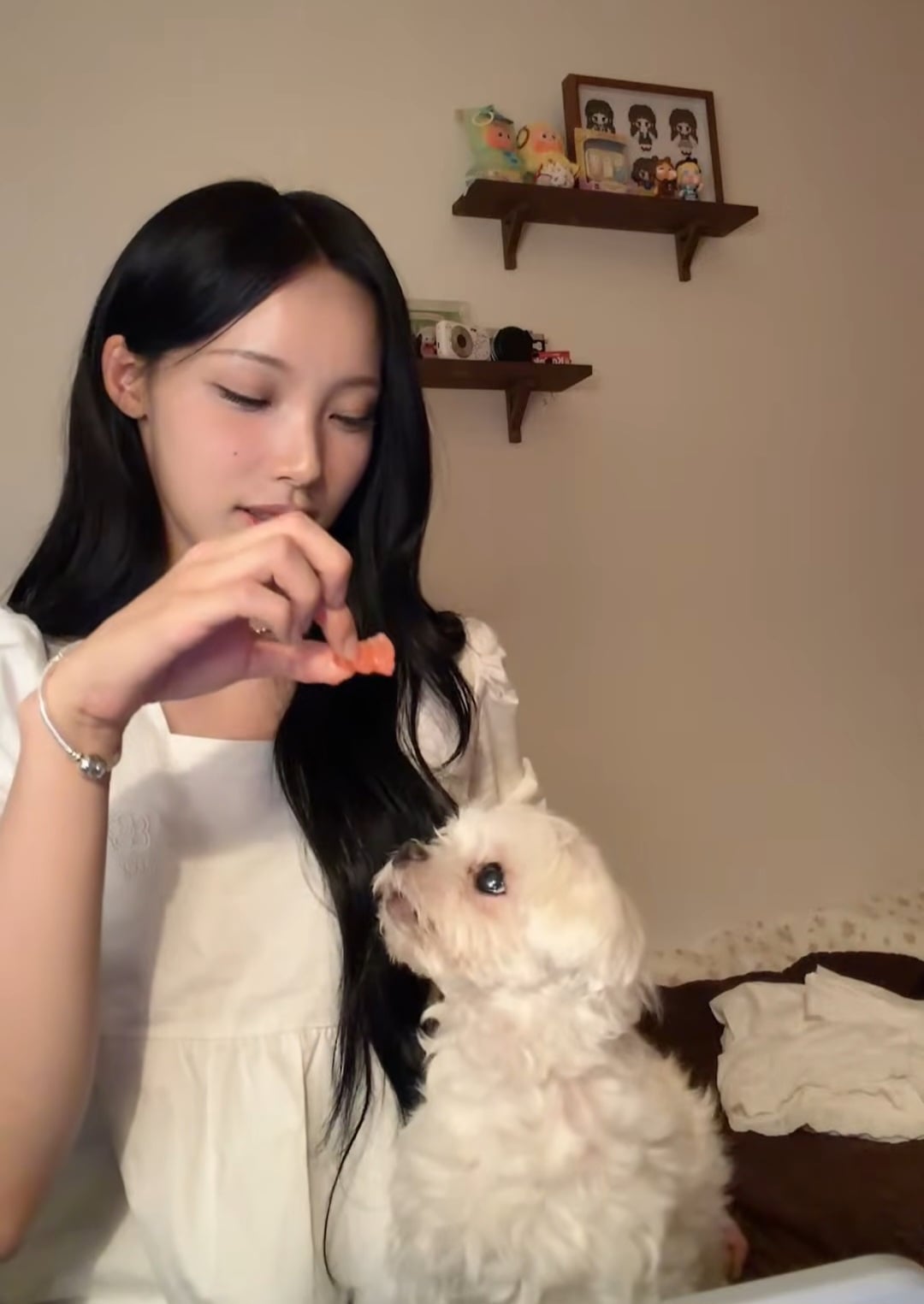 [잡담] 원이네 강아지 욘나 귀엽게 생겼어 | 인스티즈