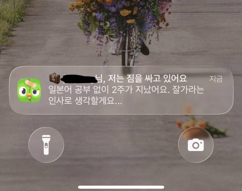 [잡담] 듀오링고 한동안 집착 하다 알림 안오길래 포기했나했는데 | 인스티즈