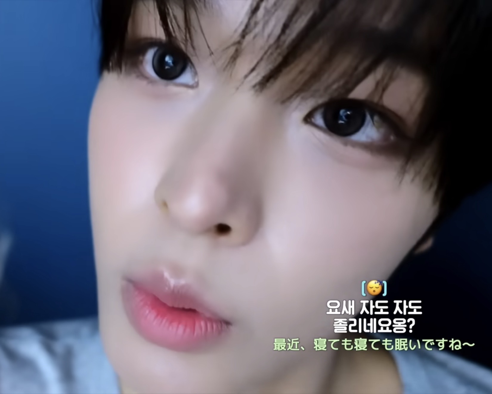 [잡담] 햄스터가 날 빤히 쳐다보네 | 인스티즈