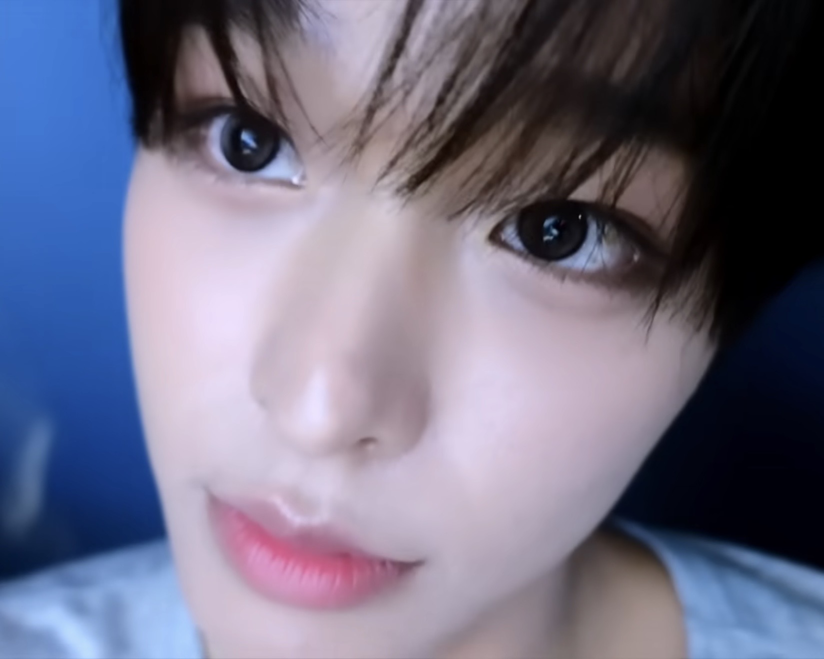 [잡담] 햄스터가 날 빤히 쳐다보네 | 인스티즈