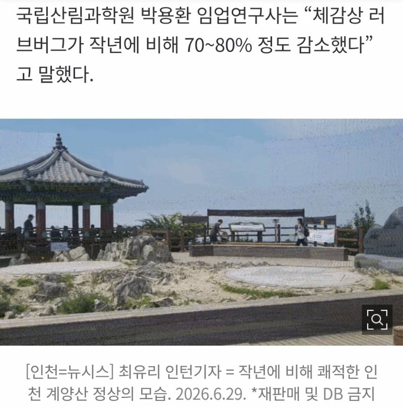 [잡담] 대박 러브버그 줄어든 느낌이 착각이 아니었음 | 인스티즈