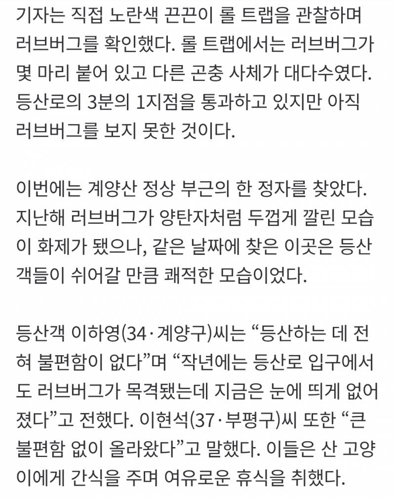 [잡담] 대박 러브버그 줄어든 느낌이 착각이 아니었음 | 인스티즈