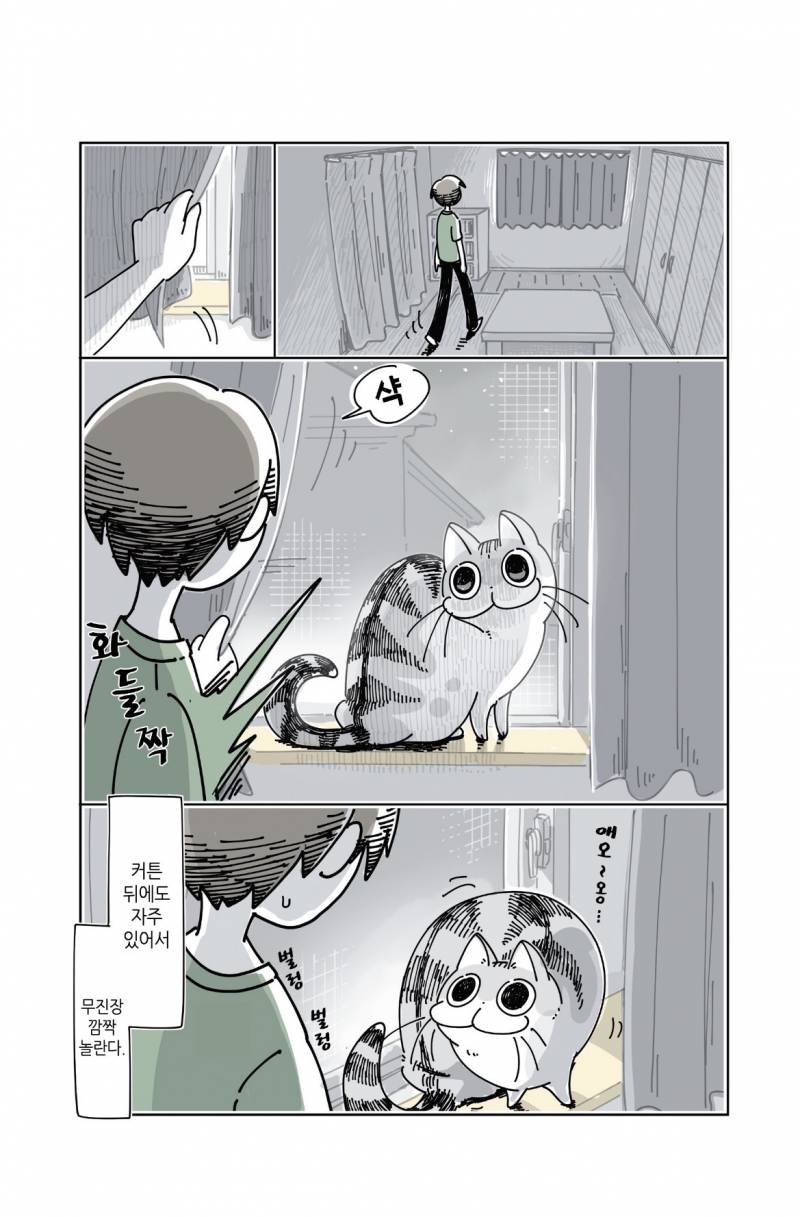 [잡담] 고양이 만화 보는데 고양이들은 원래 여기저기 잘 숨어? | 인스티즈