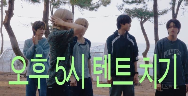 텐트 치다 말고 나무에 올라 가는 남돌 실존.jpg | 인스티즈