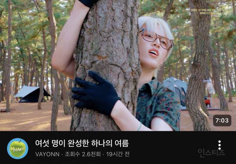 텐트 치다 말고 나무에 올라 가는 남돌 실존.jpg | 인스티즈