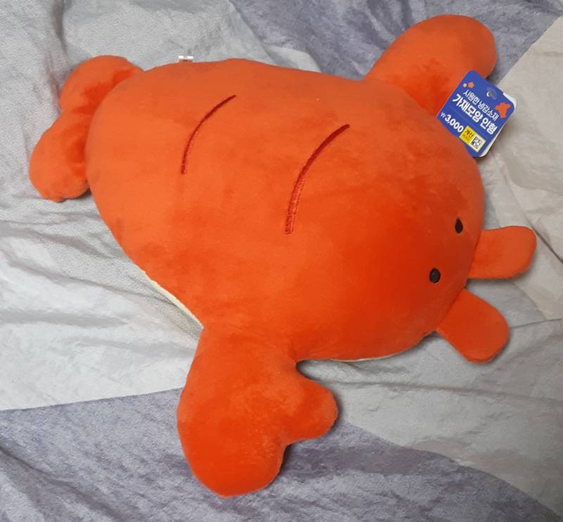 [잡담] 다이소에서 가재 한마리 데려왔어🦞 | 인스티즈