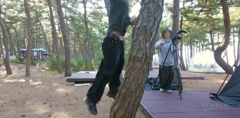 텐트 치다 말고 나무에 올라 가는 남돌 실존.jpg | 인스티즈