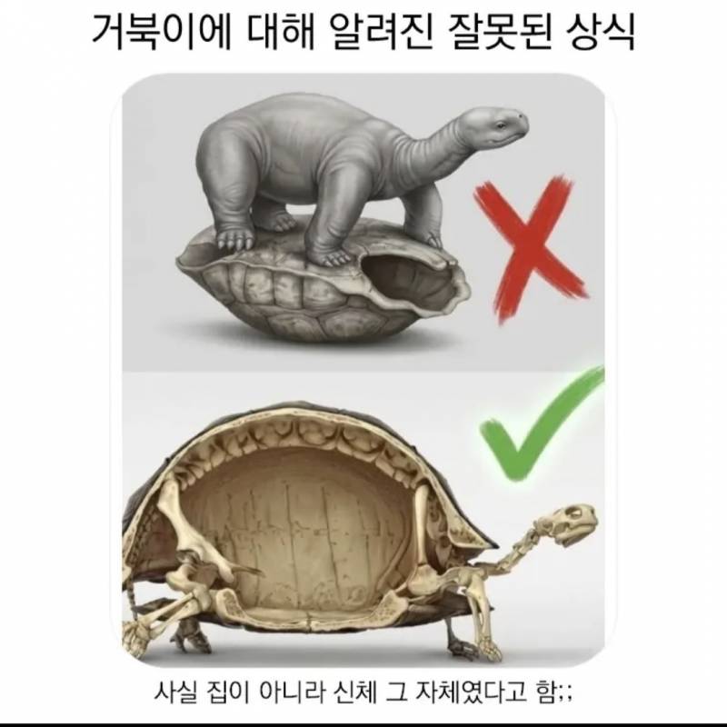 [잡담] 이거 진짜임? | 인스티즈