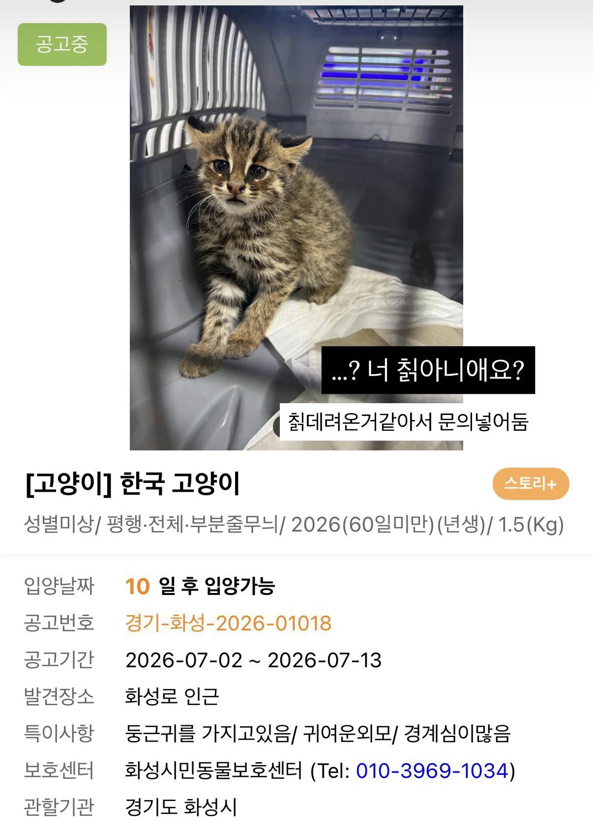 [잡담] 경기도 화성에 삵이 사는구나 | 인스티즈