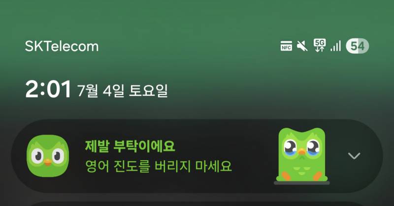 [잡담] 너네 듀오링고 알아?욘나 웃기네 | 인스티즈