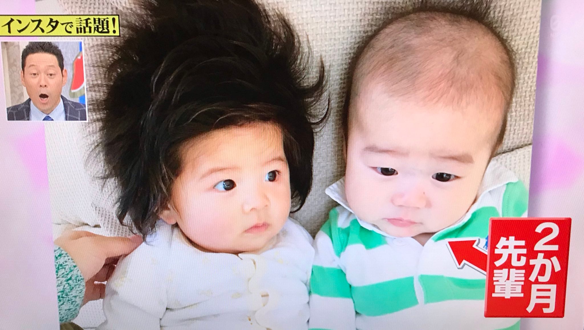 [잡담] 일본에서 화제였던 아기래 | 인스티즈