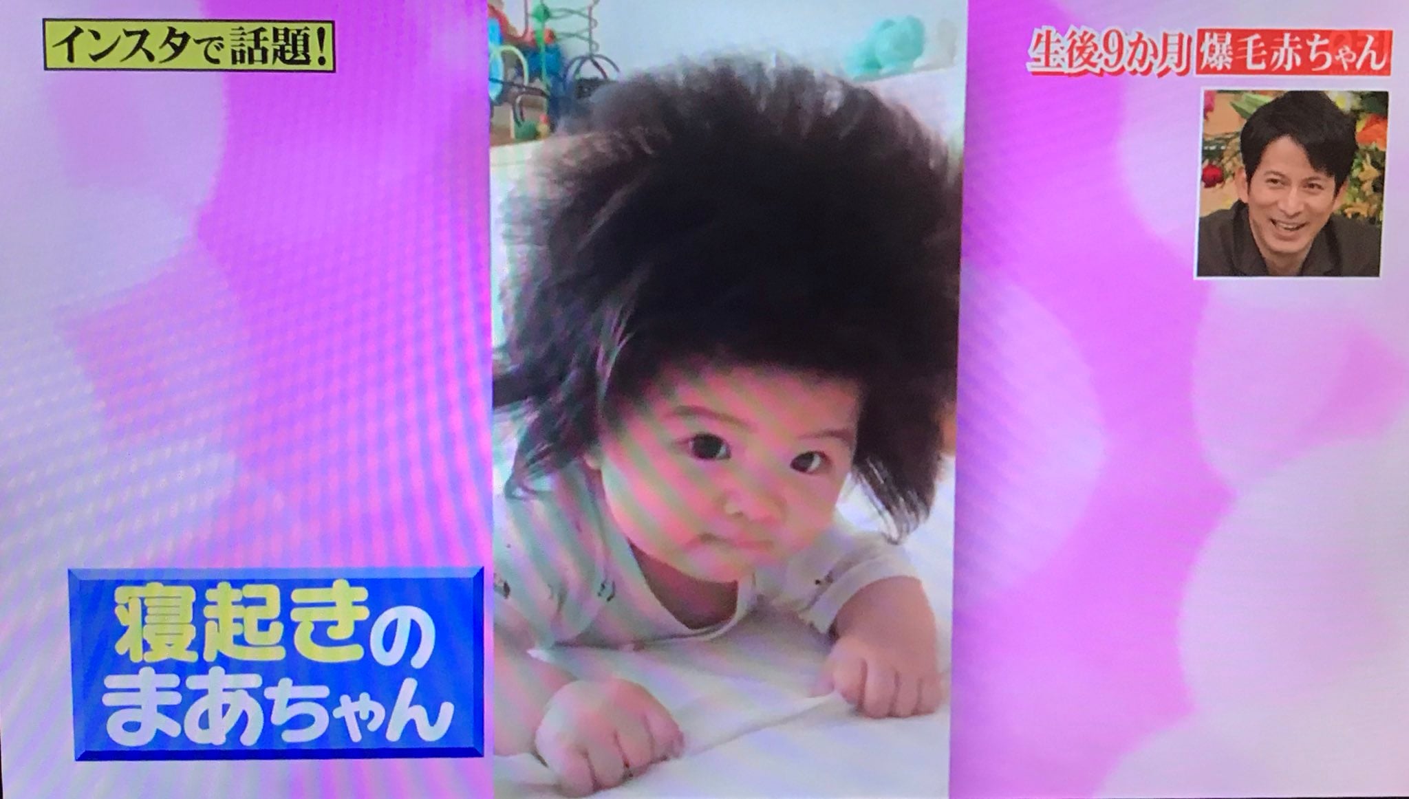 [잡담] 일본에서 화제였던 아기래 | 인스티즈
