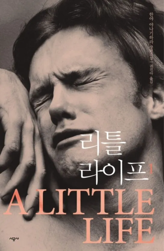 [잡담] 트위터에서 정병소설 추천 인용에 다들 이 책을 많이 추천하네 | 인스티즈