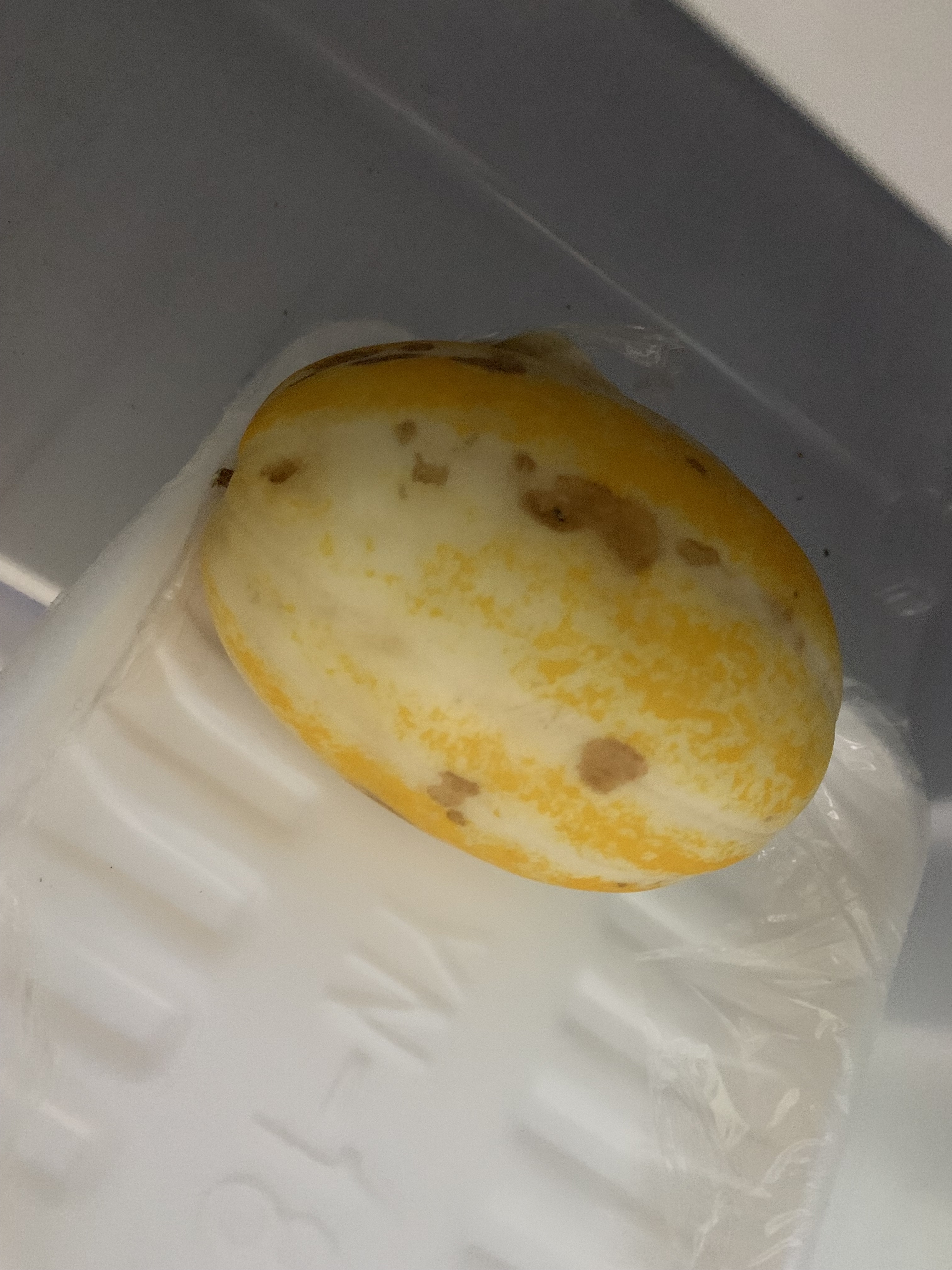[잡담] 참외 검은점 있는거 먹어도 되는거야? | 인스티즈