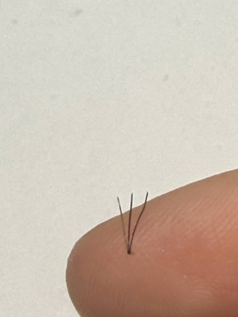 [잡담] 한 구멍에서 털이 세 개씩 자라는게 말이되니 | 인스티즈