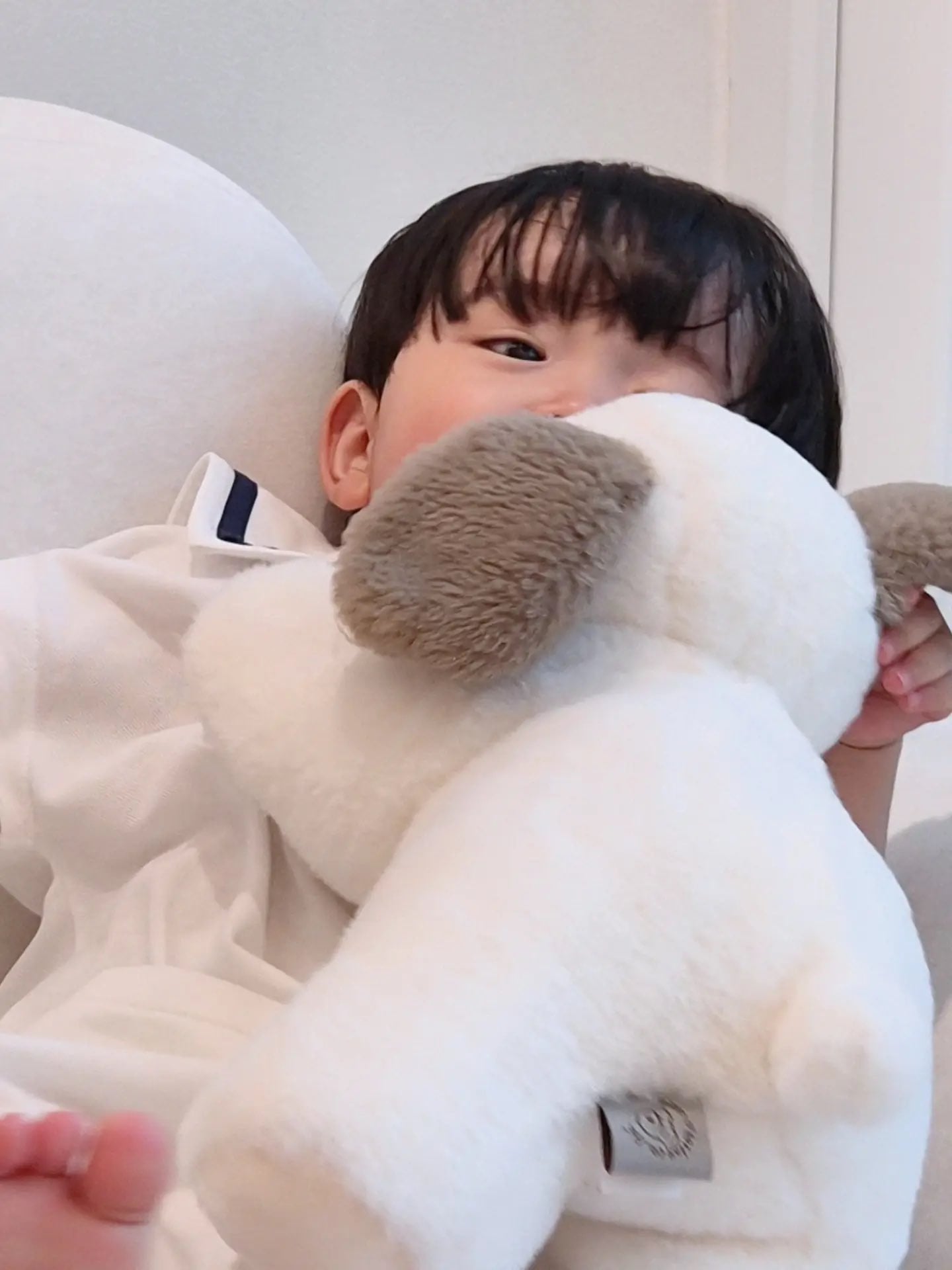 [잡담] 어머 유준이 투바투가 인형뽑기로 뽑아준 인형 반납 안 했대 | 인스티즈
